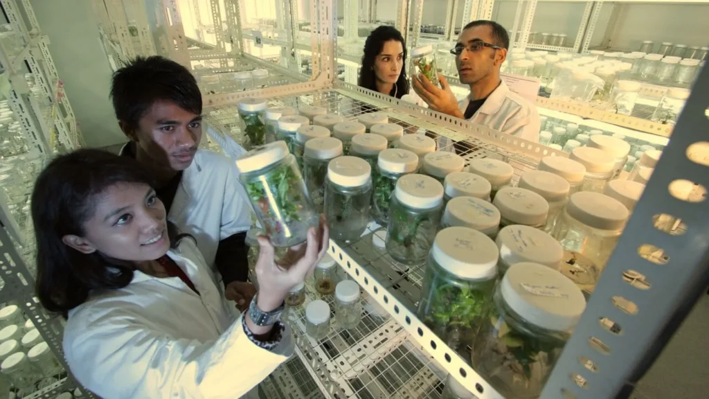 O que é Engenharia de Bioprocessos e Biotecnologia e por que está em alta? O que é Engenharia de Bioprocessos e Biotecnologia e por que está em alta?